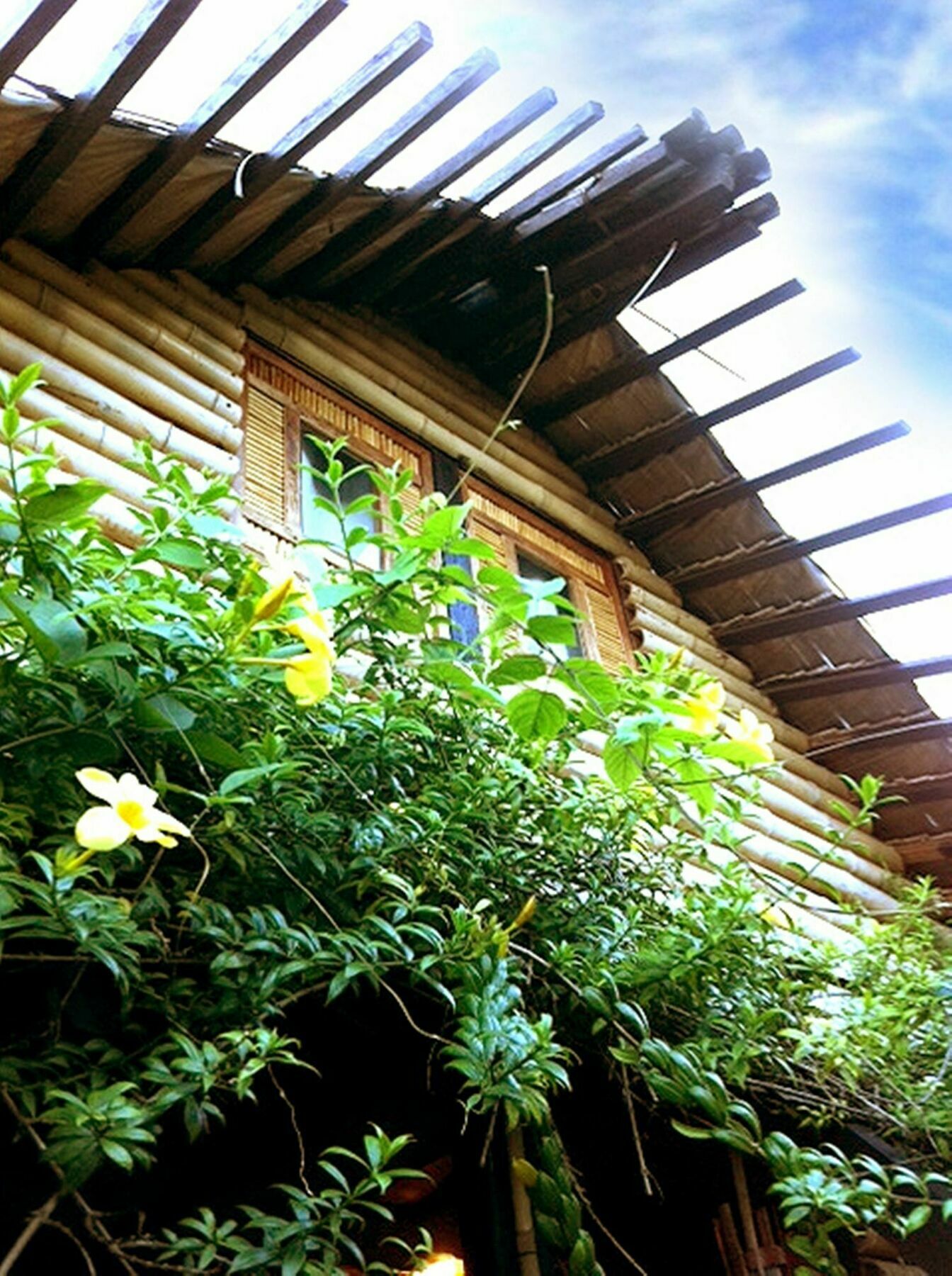 The Village House Puerto Princesa Exterior foto