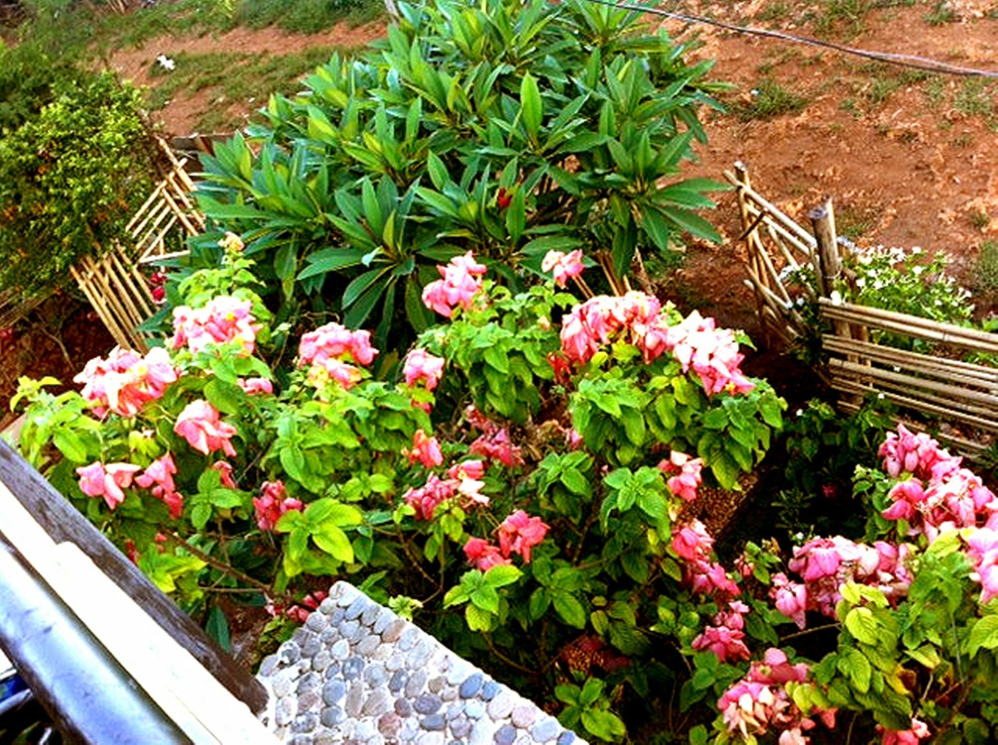 The Village House Puerto Princesa Exterior foto